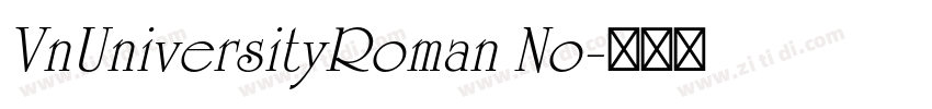 VnUniversityRoman No字体转换